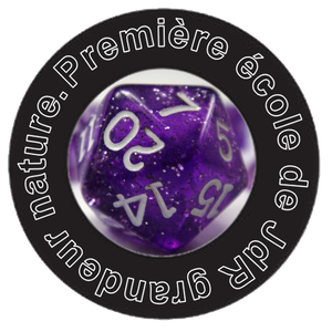 1d20trans