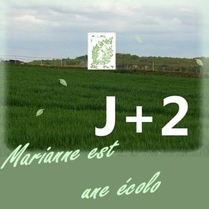 lettre_verte_ecologie.jpg