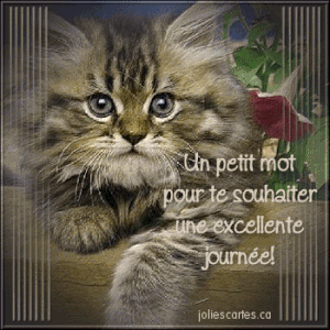 cbonnejournee18