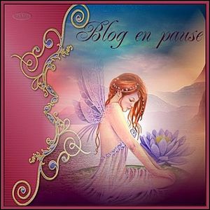 blog-en-pause