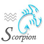 scorpion2.jpg