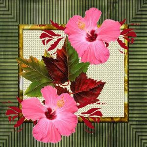 hibiscus