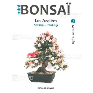 Satsuki Bonsai on Les Pins En Bonsa  S De Abe Kurakichi