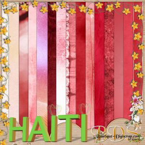 Collaboratif_Haiti003.jpg