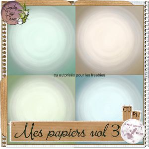 pv-papiers-vol3-19b1385.jpg