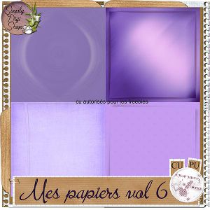 pv-papiers-vol6-19b13da.jpg