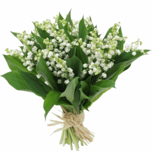 gmuguet08.gif