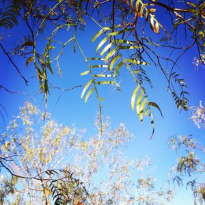 instagram-2013 2543