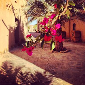 instagram-2013 2567