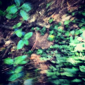 instagram-2013 3416