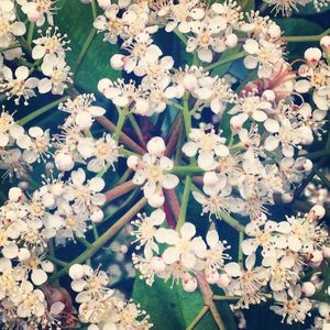 instagram-2013 3600