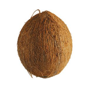 null noix-coco.jpg