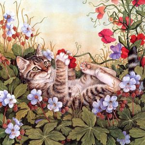 cats_23.jpg