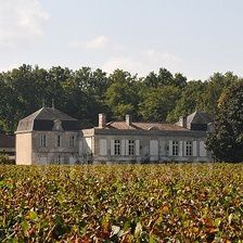 Château Picque-Caillou