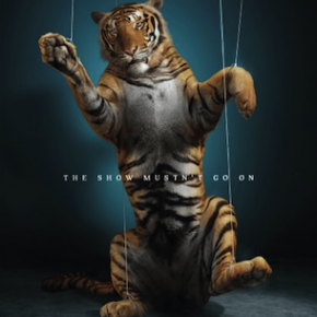 LAV-Tiger-Thumb-290x290.png