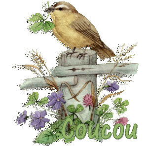 coucouoiseau