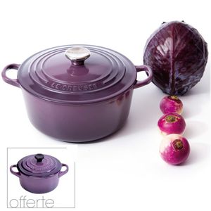 LECR6500cocottecassis.jpg