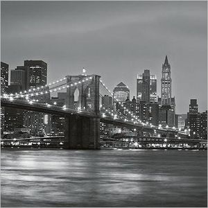 img_Le-pont-de-Brooklyn_Torsten-Andreas-HOFFMANN_ref-ARE285.jpg