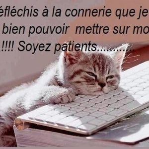 HumourTop site humour. Photos humour insolites, images comiques bizarres, gifs