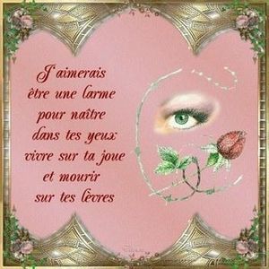 citation-d-amour.jpg