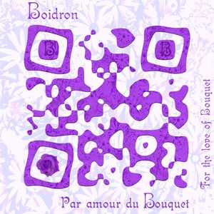 Code QR acces au site des vignobles boidron