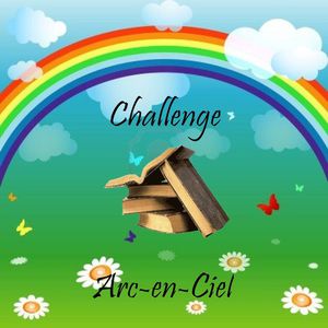 challenge-arc-en-ciel-image.jpg