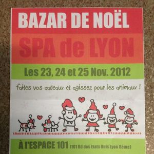 bazar-spa-lyon-2012.jpg