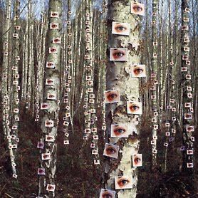 storm-thorgerson-L-16