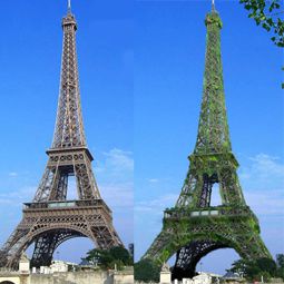 Tour-Eiffel-Vegetalisation-02-copie.jpg