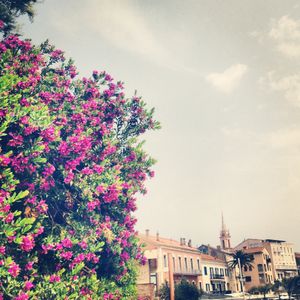 instacorse-5568.JPG