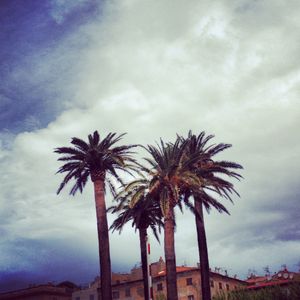 instacorse-5838.JPG