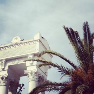 instacorse-5956.JPG