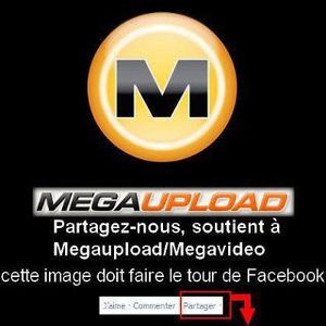 megaupload-2.jpg