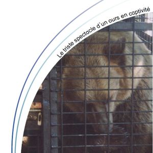 OURS-AVES-FRANCE.jpg