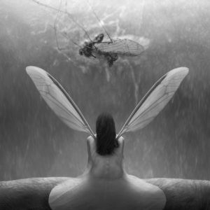 dariusz-klimczak-1-copie-1.jpg