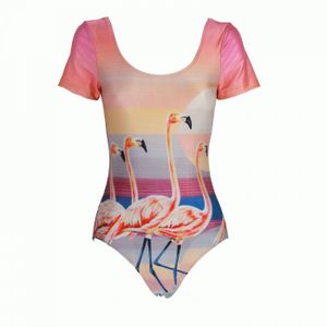 we+are+handsome+flamingo+swimsuit