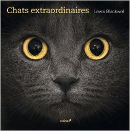 chats-extraordinaires.jpg