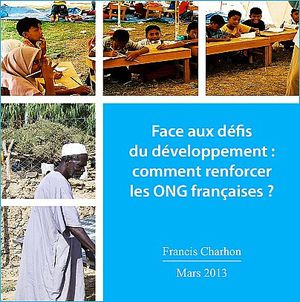 Rapport-ong-conseil-economique-et-social-in-ong-humanitair.jpg