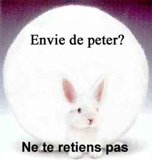 lapin-pete1-2847370122