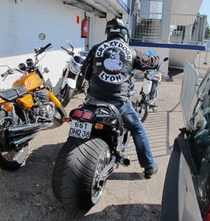 Crazy-Dogs-V-Max.jpg