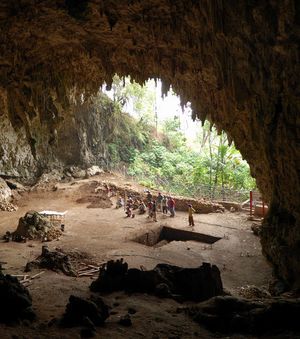 De nouvelles preuves montrent que l'homme de Florès est bien une espèce à part La-grotte-de-liuang-bua-ou-les-specimens-ont-ete-decouverts