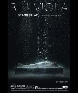viola_affiche_.jpg