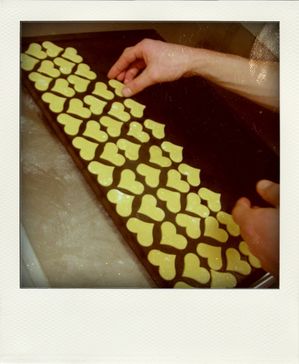 23.02.10--30--pola.jpg