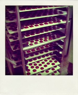 23.02.10--32--pola.jpg