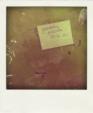 23.02.10--33--pola.jpg