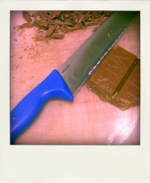 23.02.10--34--pola.jpg
