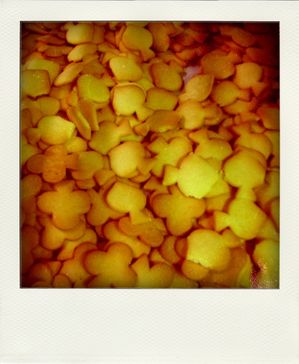 23.02.10--38--pola.jpg