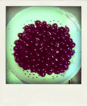 23.02.10--42--pola.jpg