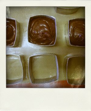 23.02.10--45--pola.jpg