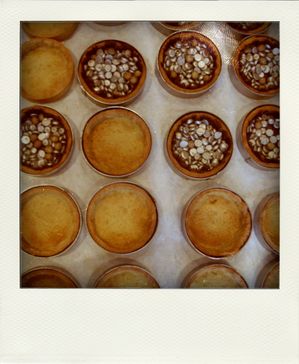 23.02.10--50--pola.jpg